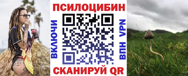 закладки  Жуков  mega ССЫЛКА  Псилоцибиновые грибы Psilocybine cubensis 
